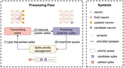 EvtSNN: Event-driven SNN simulator optimized by population and pre-filtering